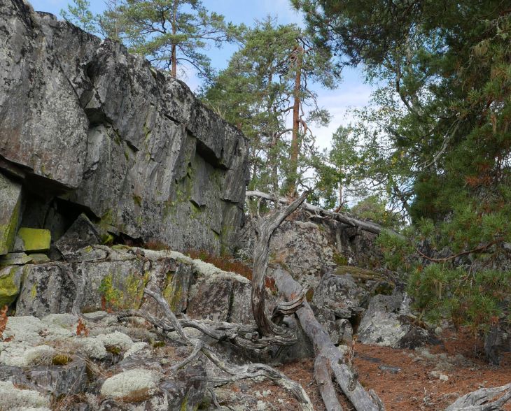 Fårhagsberget